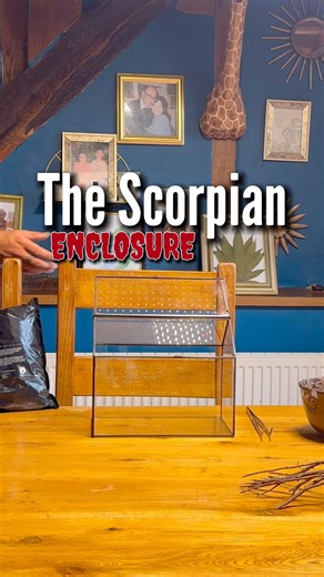 46K views · 1K reactions | If someone told me I’d own a scorpion 5...