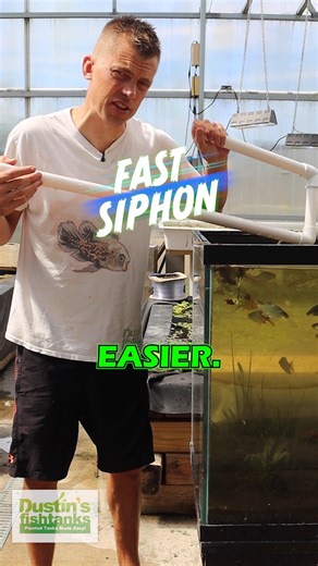1.9K views · 21 reactions | HOW TO SIPHON! This is a must know in the aquarium hobby. Everyone has differnt access to their aquariums, different setups. How do you siphon or do water changes on your tank? TANK ON! #siphon #siphoning #aquarium #fishtank #aquascape | Dustin's Fishtanks | Facebook