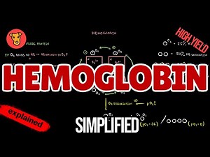 Understanding Hemoglobin: Structure, Function, and Clinical Significance for USMLE