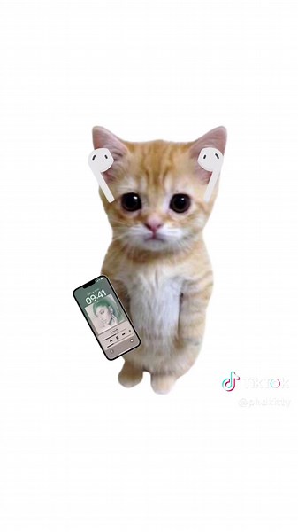 Kitty explains Bluetooth | kitty