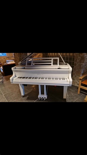 1.5K views · 55 reactions | Ако искате да имате роял или пиано , които свирят сами... В България до сега единствено ние монтираме всички съвремени системи... | Peter Dimitrov | Facebook