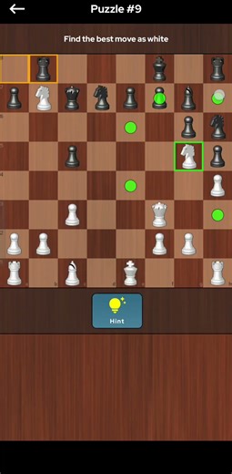 Chess Puzzle game 👑👑 Chess The Prince