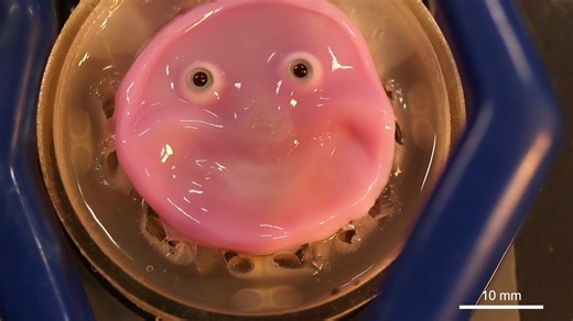 3.1K views · 39 reactions | How far do you think we are from realistic robots walking among us? | LiveScience | Facebook