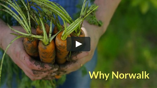 How Dr. Norman Walker got started