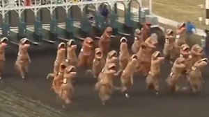 People in T-Rex Costumes Ran a Very Silly Race