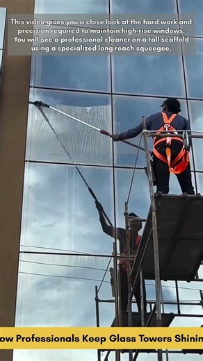 How Professionals Keep Glass Towers Shining