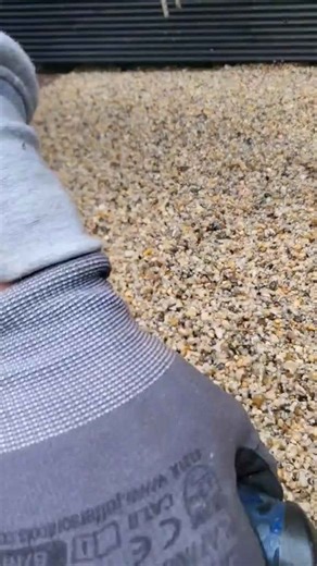 Achieve a Flawless Resin Bound Driveway Finish