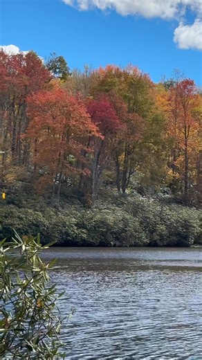 60K views · 3K reactions | I don't mind the long drive if I get to enjoy this today at the Blue Ridge parkway 10-13-25  #blueridgeparkway #fallcolors #naturelovers #travel #fall2025 | I Love The Smoky Mountains | Facebook