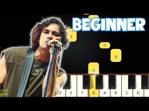 Babydoll - Dominic Fike | Beginner Piano Tutorial | Easy Piano