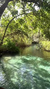 94K views · 7.7K reactions | En Caño Frío, Playa Rincón en Samaná, República Dominicana se pasa bonito, rodeado de naturaleza y agua fresca. ¿Qué te parece?  @sabana_ecoturismo | Ferries del Caribe | Facebook