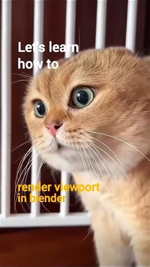 How to render viewport in blender with 2 baby steps.😺 #ytshorts #blender #3d #fyp