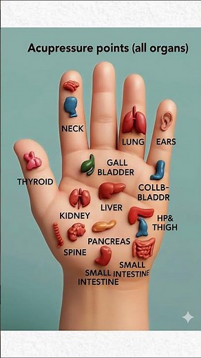 Health in Your Hands: 15 Palm Acupressure Points for Organ Detox & Wellness