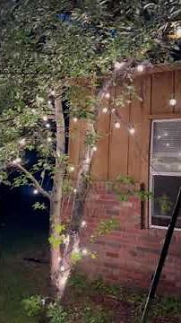 Backyard Lighting Tips: How to Hang String Lights Across Your Yard