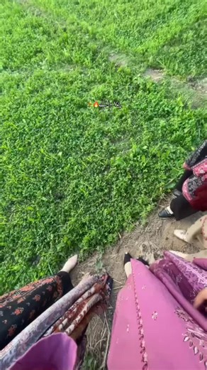 Captivating Moments with Pandas