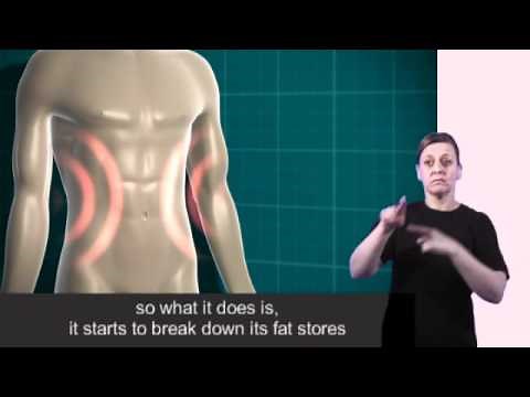 Animation about diabetes and the body with subtitles and British Sign Language