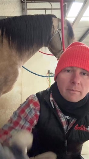 14 comments | Why do you boot your horses and what boots do you use? #ridethewrightway #boots #horses #question #fyp | Kenton Wright Equestrian | Facebook