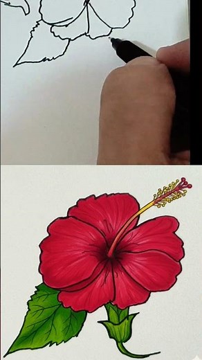 🌺 Beautiful Hibiscus Flower Drawing | Easy Step-by-Step Tutorial for Beginners