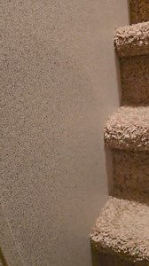 This is our cabin for the weekend. Paradise Ranch RV Resort. Come out Saturday and see me and Miss Janet. #brucemitchell #swamppeople #serpentinvasion | Bruce Mitchell