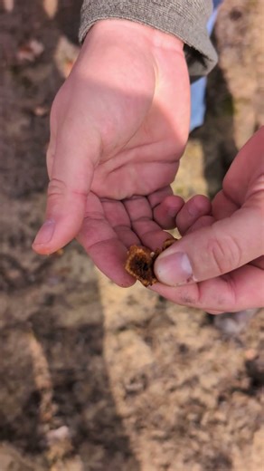 Shocking! Real naked people in the forest #nature #galasy