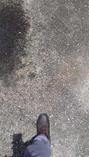 Inspiring Quote of the Day for Self-Motivation