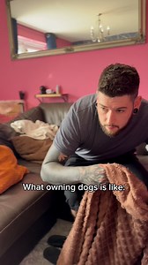 Like little magicians! #funny #doglife #dogdad #dogmom #doggo #pugs #dogsofinsta | Ollie Cutts