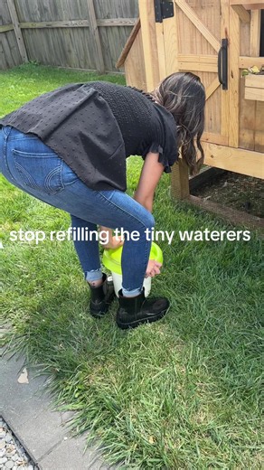 Best Way to Water Chickens: Stop Refilling Tiny Waterers