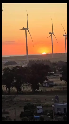 Videos de 💮💫Trisquel✨️🕊 (@trisquel1980) con “sonido original - 𝑴𝒊𝒍 𝑳𝒆𝒕𝒓𝒂𝒔 ❣️”