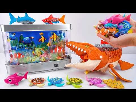 [🐟Toy asmr🦈] Mosasaurus & Robo Turtle Swimming & Dream Aquarium Playset ASMR | Satisfying Unboxing