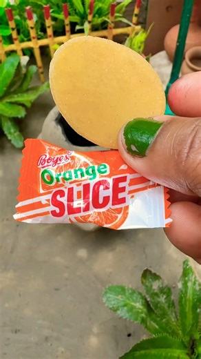 Miniature panipuri vs candy 🍭 #viral #shortvideo #cooking #food