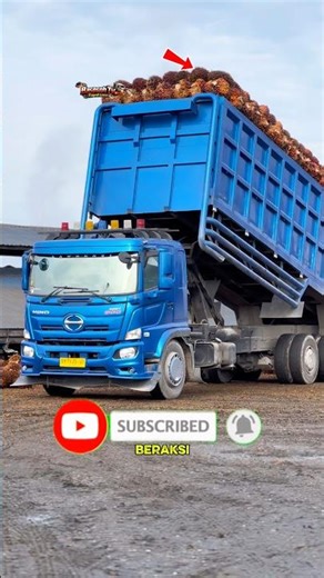 👉 “CRAZY! Palm Oil Spilled Instantly 😱” 🚀#feedshorts #shorts #truck