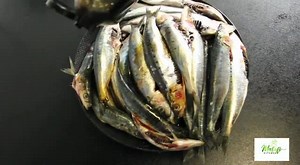 7K views · 66 reactions | Shrimp and fish powder recipe | Masof's kitchen | Facebook