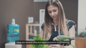 Bird Training Methods