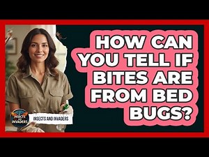 How Can You Tell If Bites Are From Bed Bugs?