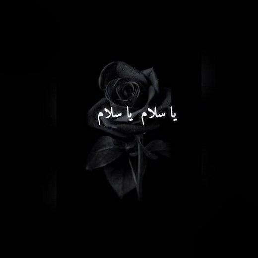 Maher Zain Nasheed Mashallah Mashallah - CapCut Video Editing