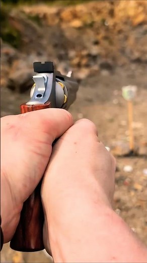 Taurus Model 66 .357 magnum