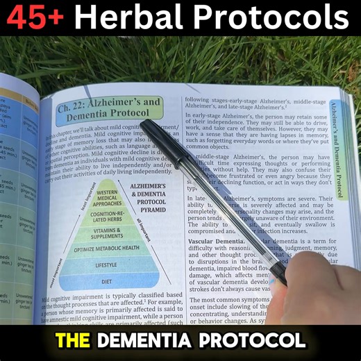 ✅ If you want to follow an integrated, holistic, natural approach, this is the book you want on your bookshelf. With The Holistic Guide to Wellness by your side, you’ll have a complete roadmap to take care of your health at home naturally: 👉 Grab your Holistic Guide Today and get 70% OFF: https://www.holisticguidetowellness.com/book/ | The Holistic Guide to Wellness