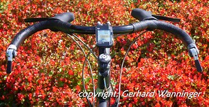 Bar End Shifters - Why and how do I use them?