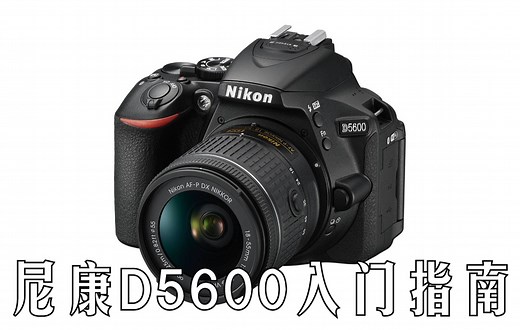 【入门指南】尼康D5600快速入门指南（Nikon D5600）[双语CC字幕]