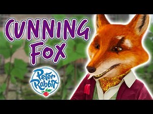 Peter Rabbit - Cunning Fox | Cartoons for Kids