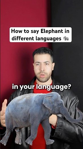 How to say Elephant in different languages! #languages #polyglot #languagelearning #funny