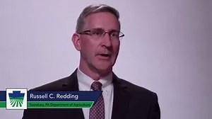 1.9K views · 31 reactions | Why license your dog? Licensed dogs are...