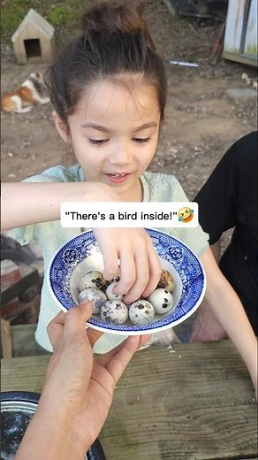 First time eating Quail Eggs Balut🤣