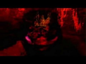 Top 5 videos from the deepweb