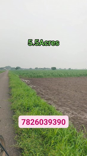 10K views · 181 reactions |   LOW BUDGET TAR ROAD BASE FARMLAND FOR...