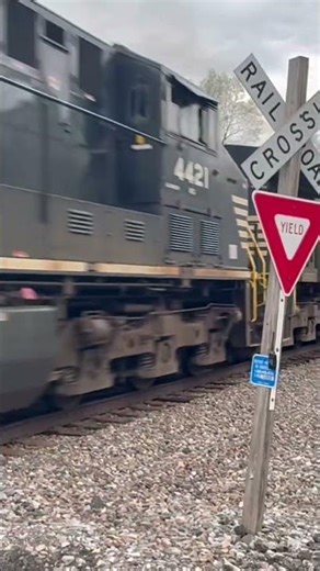 NS 279 #train #railtrack #railroad #railroad #railwaycontent #railfan #railvlogger #railway #train