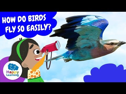 🐦 BIRDS: Their BONES help them FLY! | Educational Videos for Children | @HappyLearningEN