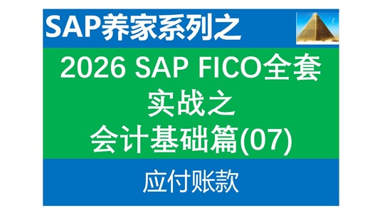 2026 SAP FICO全套实战(纯净环境)_会计基础07 应付账款 物料账 S4 HANA SAP MM PP ABAP 物料分类账