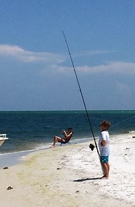 Florida’s New Shark Fishing Regs Includes Mandatory Online Course