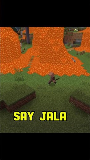 Peaceful Villager Turned Evil #minecraft