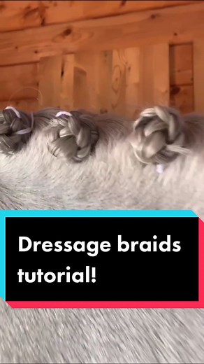 How to Make Perfect Button Braids for Dressage Shows